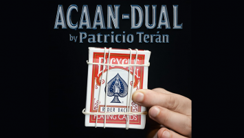 ACAAN dual by Patricio Tern