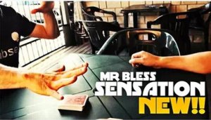 Sensation by Mr Bless