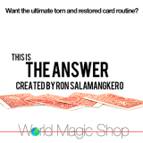 The Answer by Ron Salamangkero