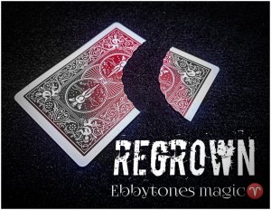 Regrown by Ebbytones