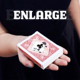 Enlarge by SansMinds Creative Lab