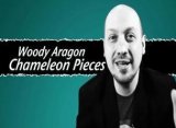 Chameleon Pieces by Woody Aragon