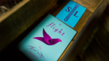 Flight by Kevin Li and Shin Lim Presents