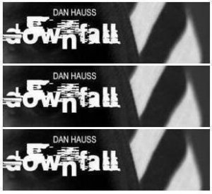 Downfall by Dan Hauss