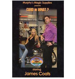 Card in What by James Coats - Click Image to Close