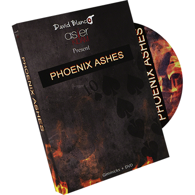 Phoenix Ashes by Asier Kidam - Click Image to Close