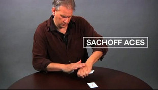 Sachoff Aces by David Williamson - Click Image to Close