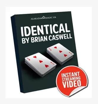 Identical by Brian Caswell