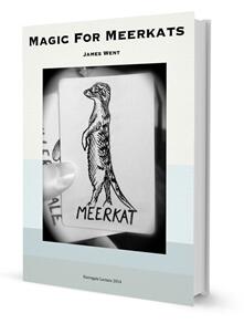 Magic For Meerkats by James Went - Click Image to Close